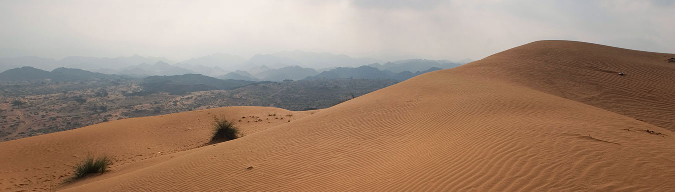 Ras Al Khaimah desert | Hajjar mountains | Al Qasimi Foundation | Contact Us