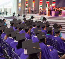 NYUAD | Abu Dhabi | Higher Education | Emiratis | Student Ratios