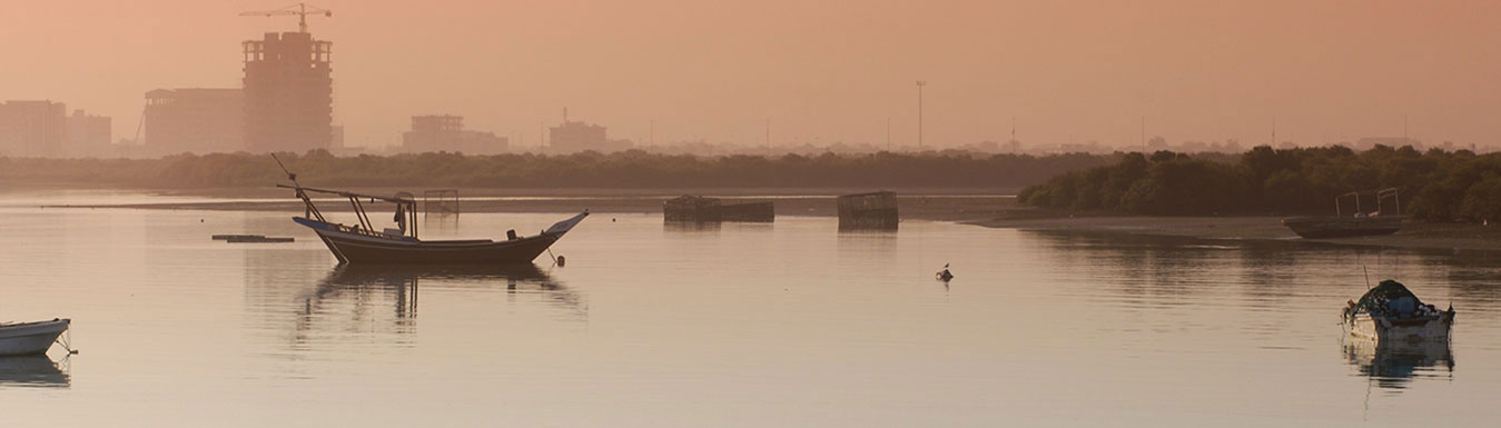 Ras Al Khaimah | Prison Project | Capacity development | mangrove 